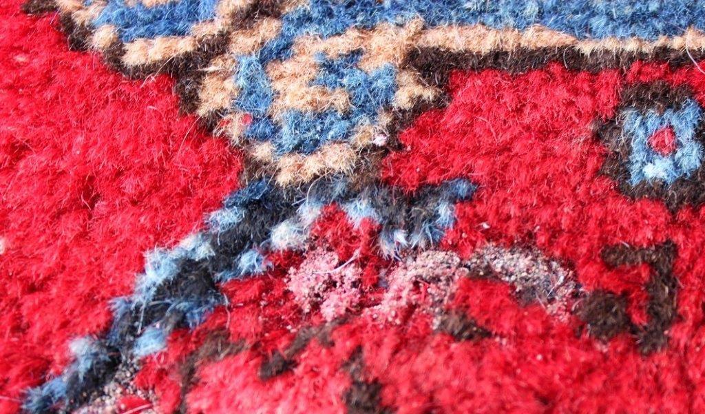 How To Protect Your Rugs Against Moths Keivan Woven Arts Blog